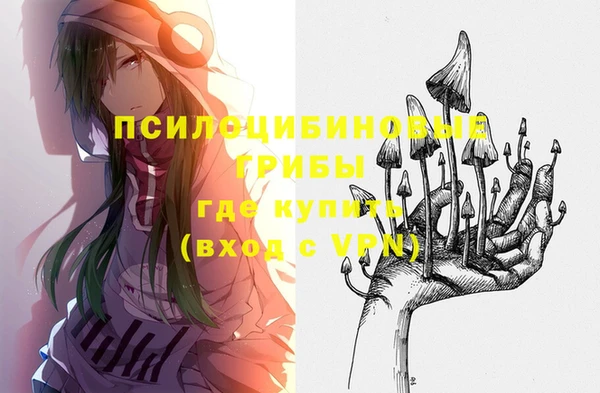 первитин Богородск
