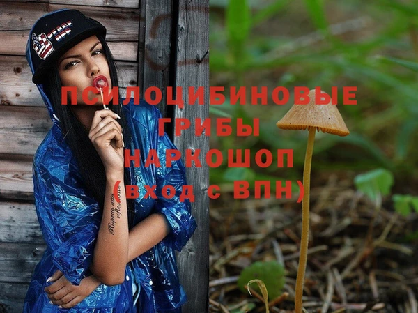 первитин Богородск