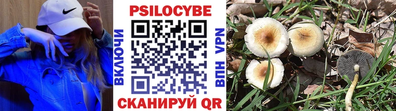 Галлюциногенные грибы GOLDEN TEACHER  Купить  Черногорск 